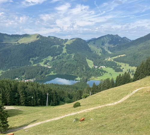Blick zur Schönfeldhütte